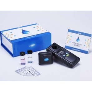 水中臭氧濃度檢測儀